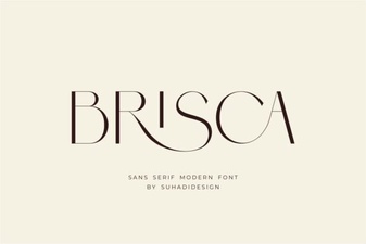 Brisca Font for Creative Typography Projects
